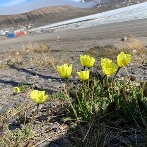 Meet your Posher, Heidi